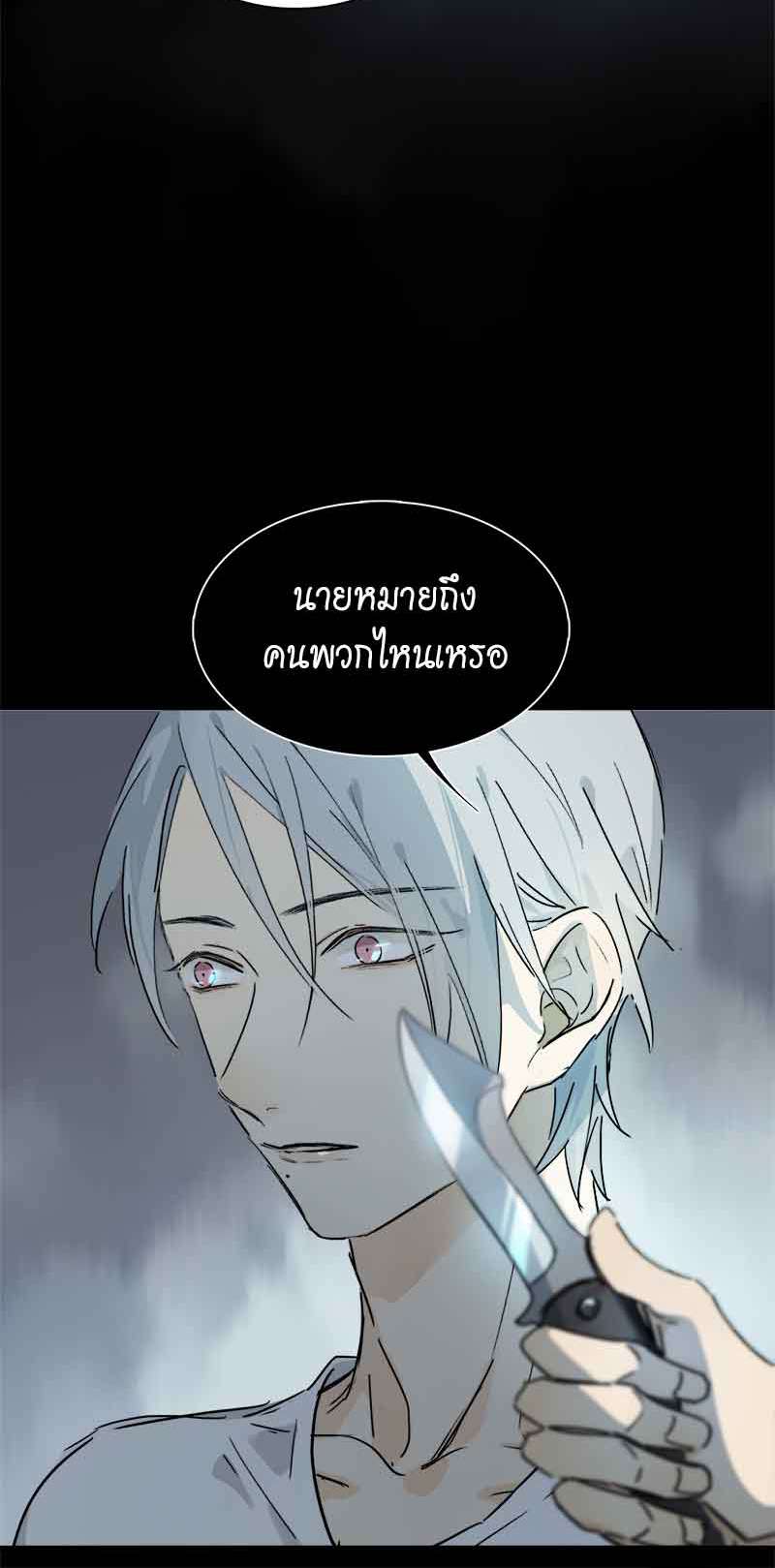 กฎรักแห่งออกัส20 08