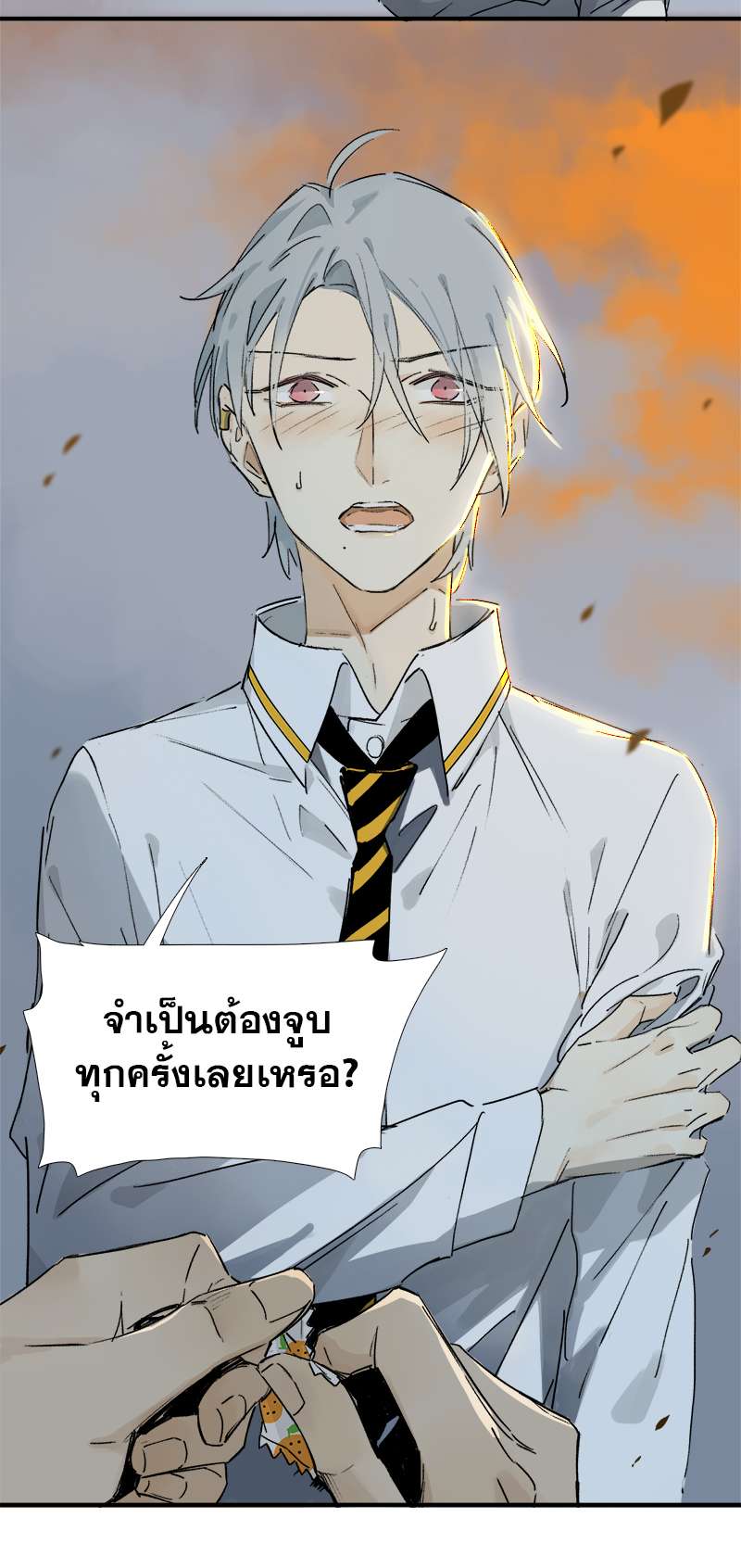 กฎรักแห่งออกัส11 06