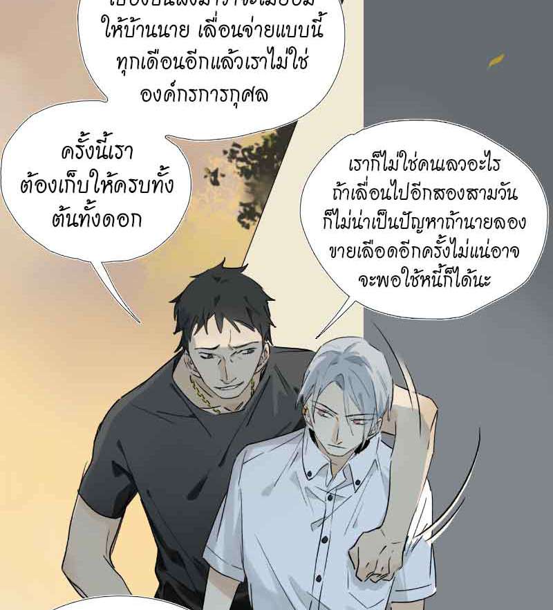 กฎรักแห่งออกัส16 30