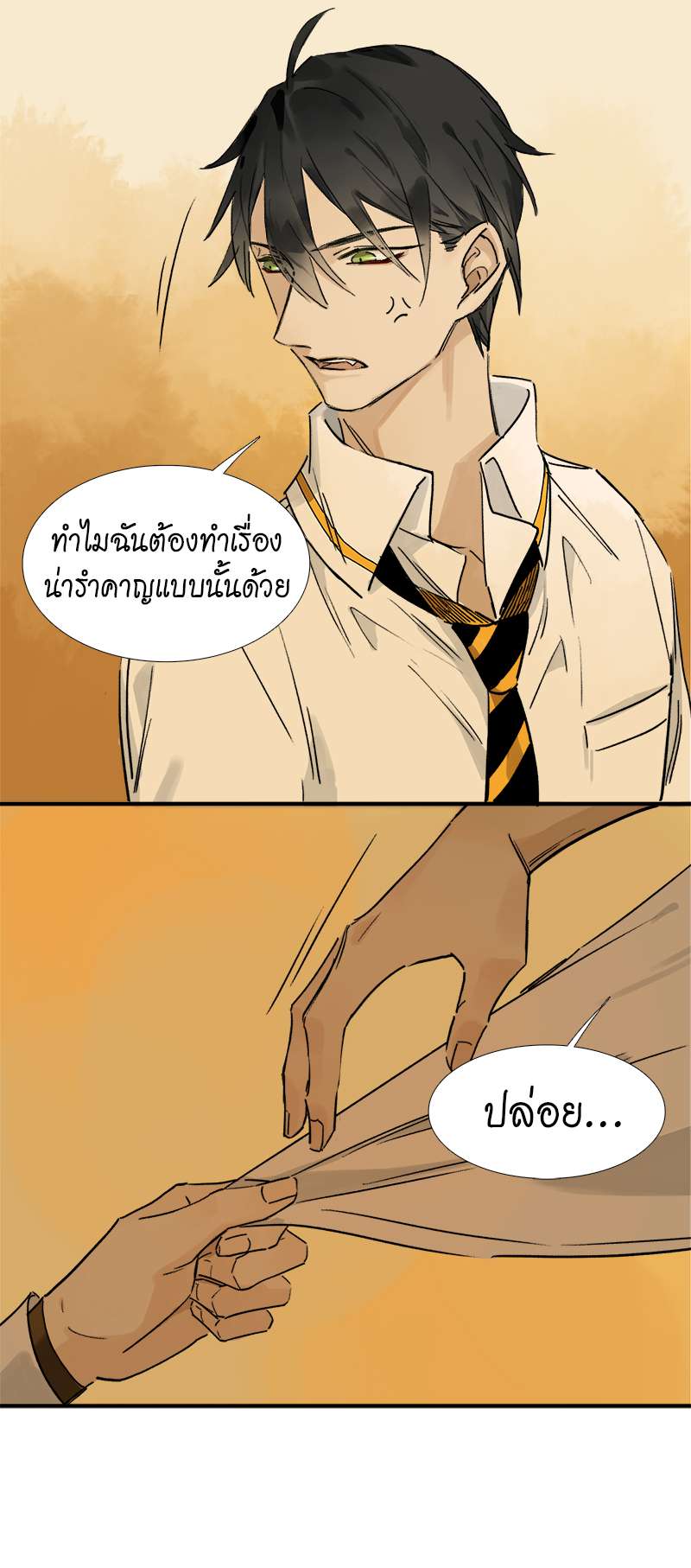 กฎรักแห่งออกัส10 13